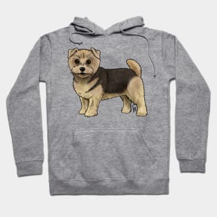 Dog - Norfolk Terrier - Black and Tan Hoodie